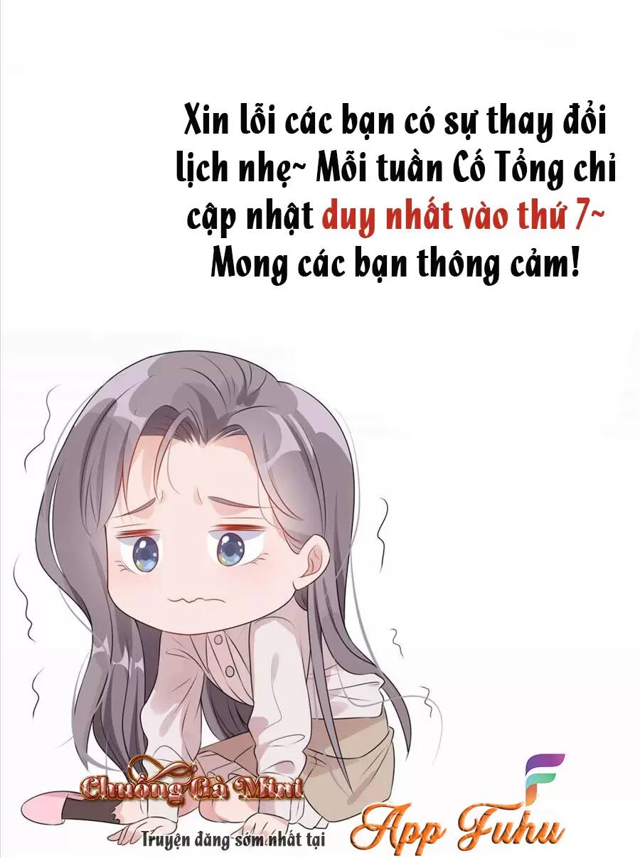 cố tổng, vợ của ngài quá mạnh rồi! chapter 83 - Next chapter 84