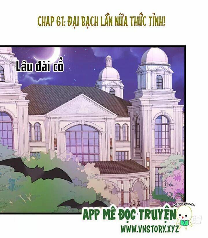 Huyết Tộc Đáng Yêu Chapter 60 - Trang 2