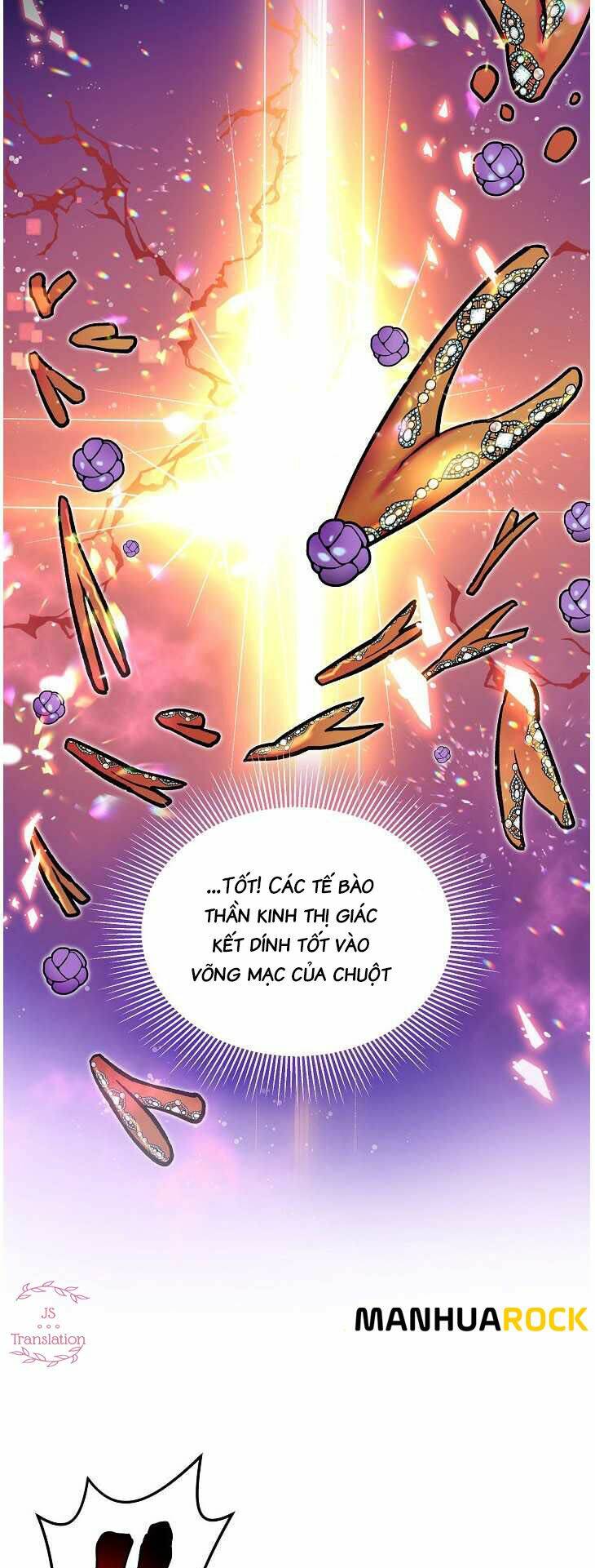 dna thiên tài đơn độc chapter 23 - Trang 2